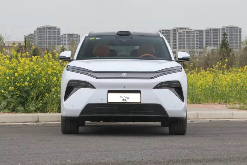 比亚迪 BYD 唐L DM (7座)