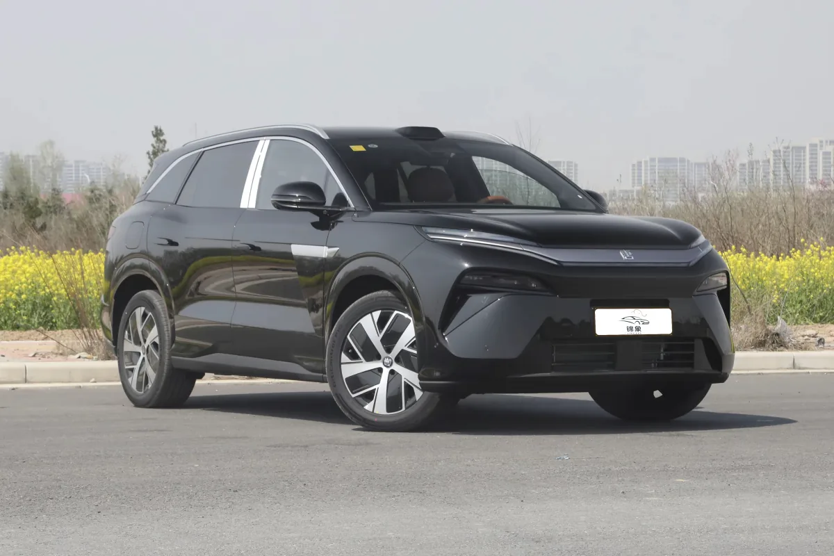 比亚迪 BYD 唐L DM (7座) 12