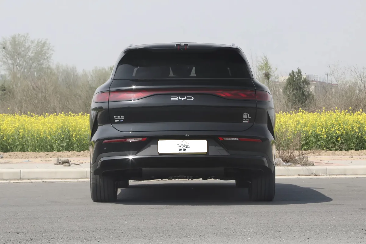 比亚迪 BYD 唐L DM (7座) 14