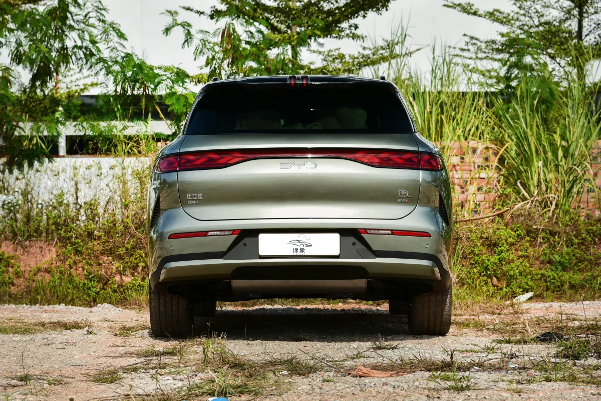 比亚迪 BYD 唐L DM (7座) 19