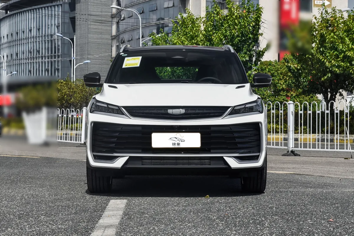 吉利 Geely 缤越L 20