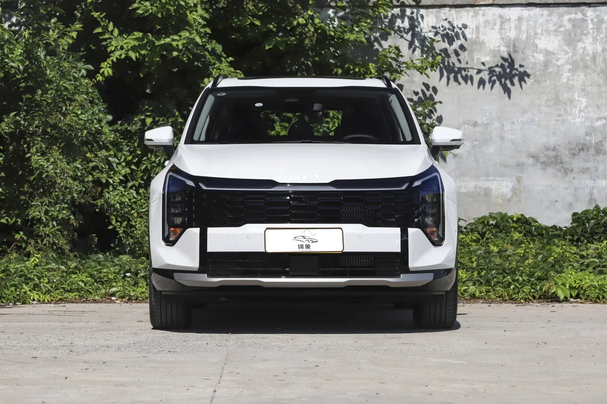起亚 Kia 狮铂拓界 9