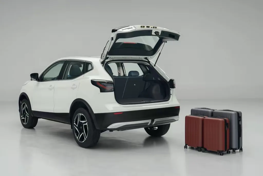 日产 Nissan 逍客 14