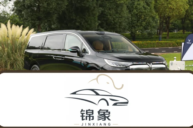 岚图 Voyah 岚图梦想家